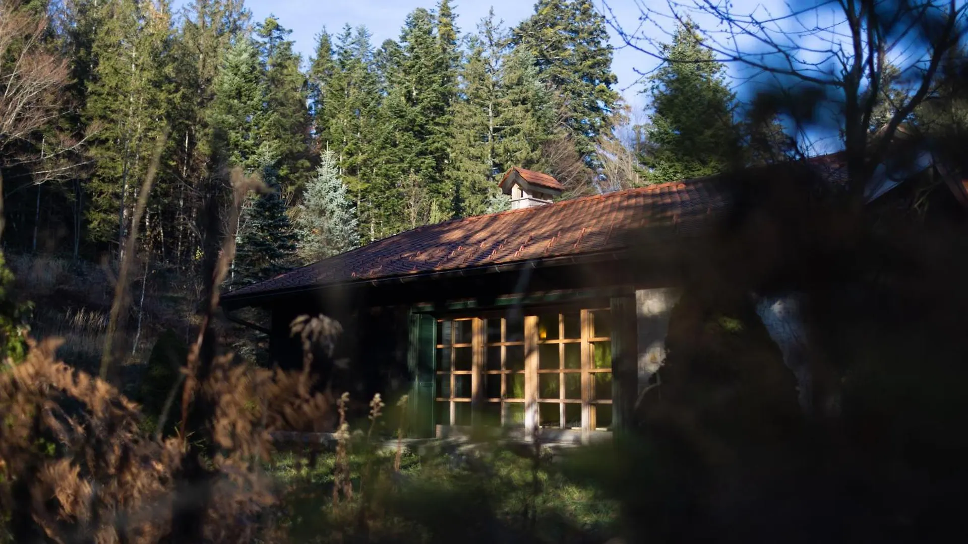 Javorova Dolina Villa Ravna Gora Alpesi faház